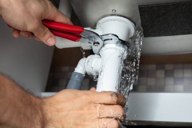 Best Flood damage cleanup  in Waynesboro, MS