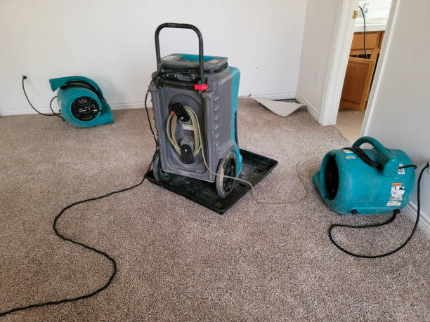 Best 24-hour water damage restoration  in Waynesboro, MS