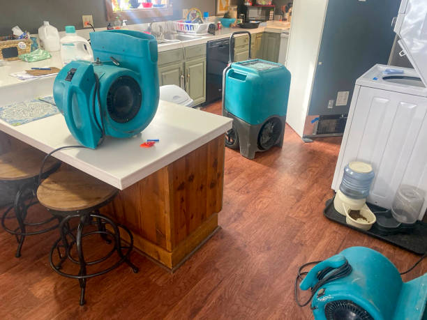 Best Professional water damage repair  in Waynesboro, MS