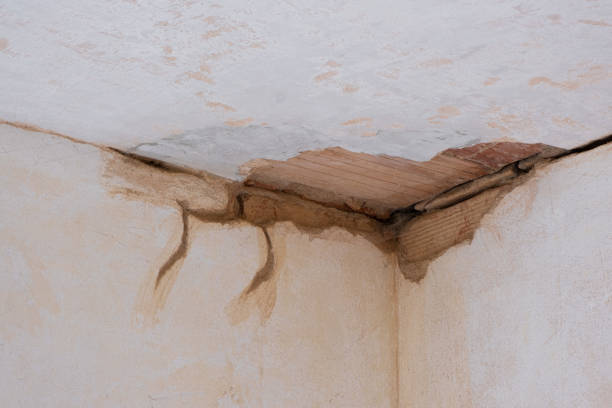 Best Sewage cleanup and water damage restoration  in Waynesboro, MS