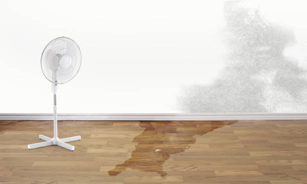Best 24/7 water damage repair  in Waynesboro, MS