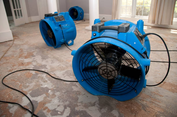 Best Water damage contractors near me  in Waynesboro, MS