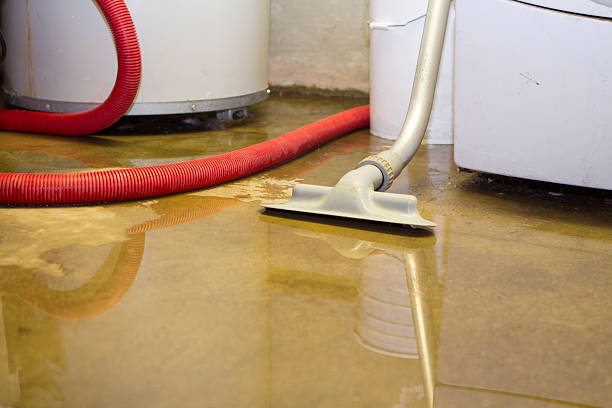 Best Sewage cleanup and water damage restoration  in Waynesboro, MS