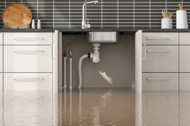 Best Emergency water damage restoration  in Waynesboro, MS