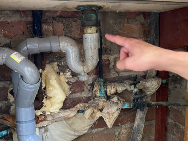 Best Residential water damage restoration  in Waynesboro, MS